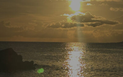 Comfortably Uncomfortable