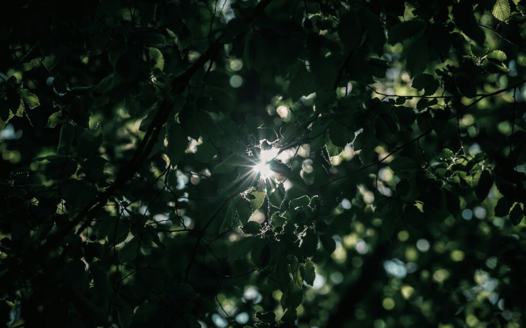 Seeking Beta Readers