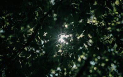 Seeking Beta Readers